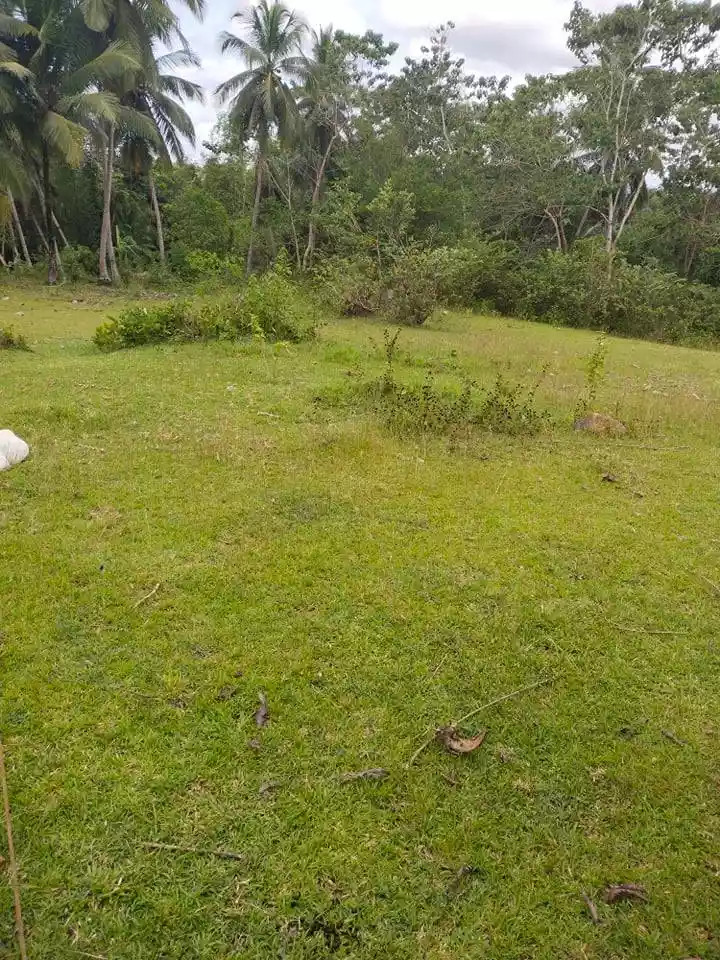 1.2 HECTARES IN ROSARIO ALOGUINSAN CEBU - photo 4