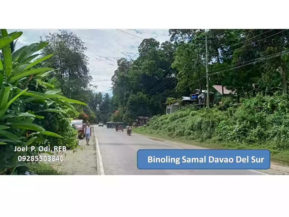 For Sale: LOT ( classified as commercial & residential ) along main highway at Samal Island Davao — Commercial Lot in Samal, Island Garden City of Samal, Davao del Norte — Photo 3