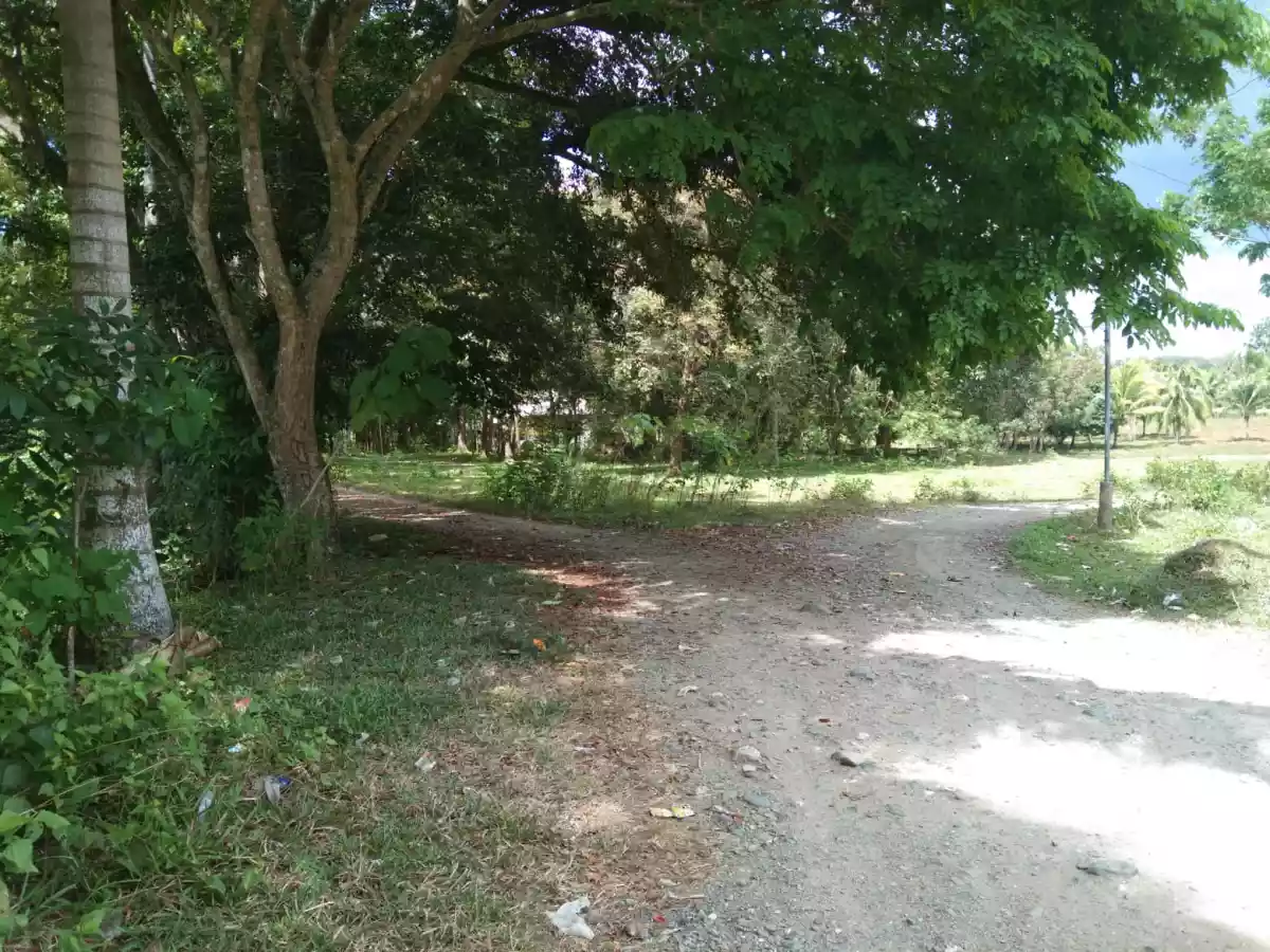 Abucayan Property - photo 5