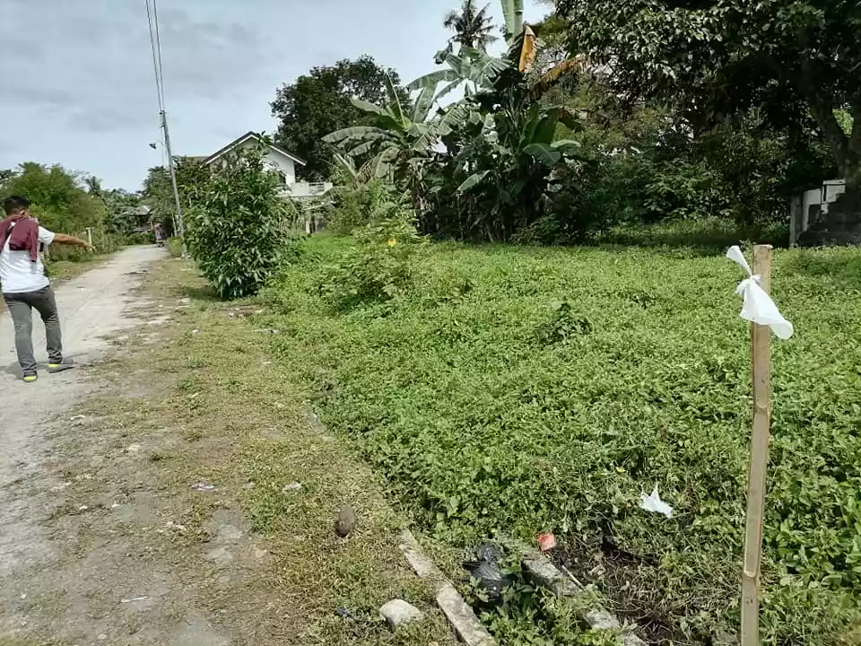 200sqm. lot in Doongan Butuan City along cemented road - photo 3