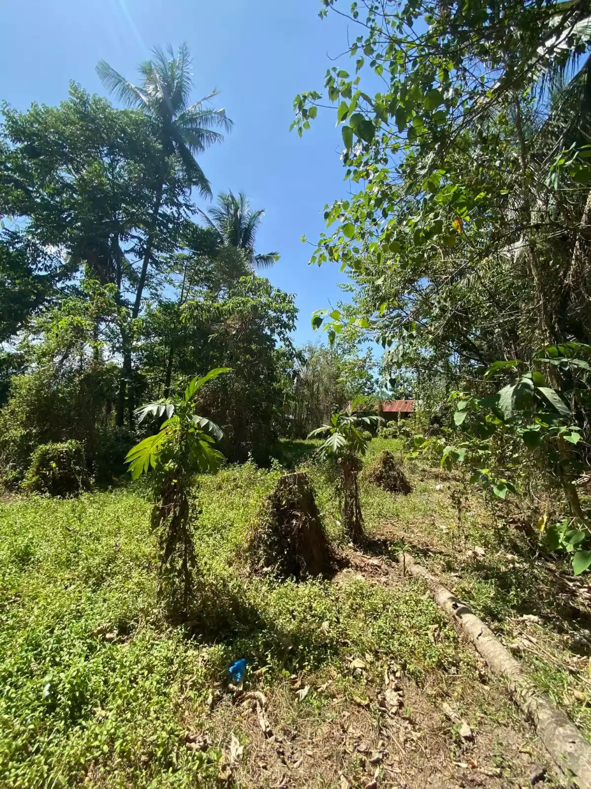 Lot For Sale With Road Right of Way Along Sibulan Diversion Road — Agricultural Lot in Sibulan, Diversion Road, Sibulan — Photo 3