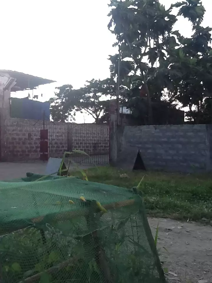 Commercial Lot For Sale-Taguig City - photo 5