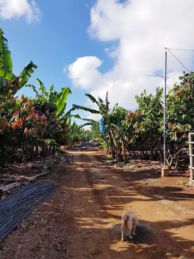 Affordable lot only in Menzi Damilag — Residential Lot in Bukidnon, Philippines — Photo 2