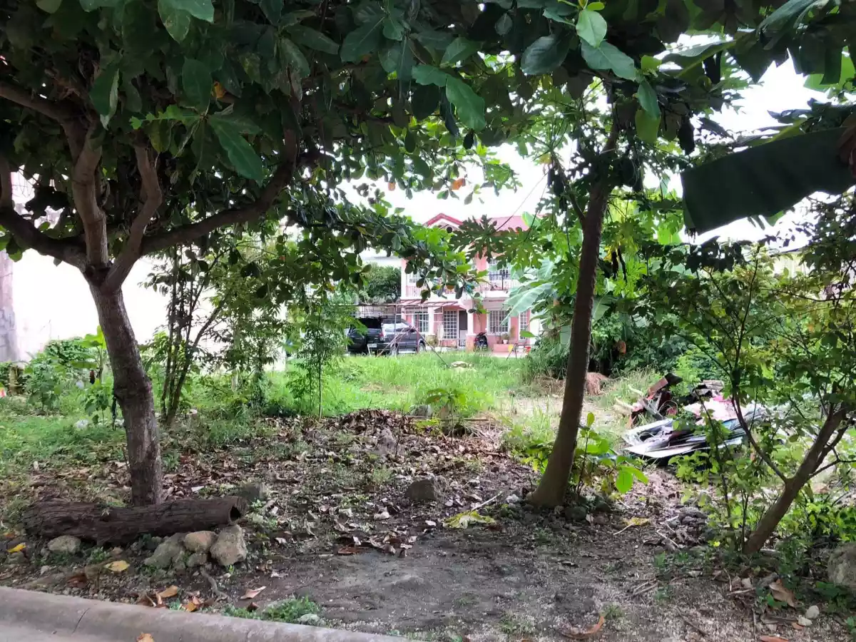 Pacific Grand Villa Lot Only Forsale!! — Residential Lot in M.L. Quezon National Highway, Lapu-Lapu City, Cebu — Photo 4