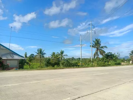 Land For Sale along National Highway of Ampayon Diversion road — Agricultural Lot in Butuan City, Agusan Del Norte, Philippines — Photo 3