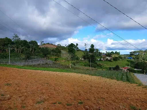 Farm lot for sale — Agricultural Lot in Cebu City, Cebu, Philippines — Photo 5