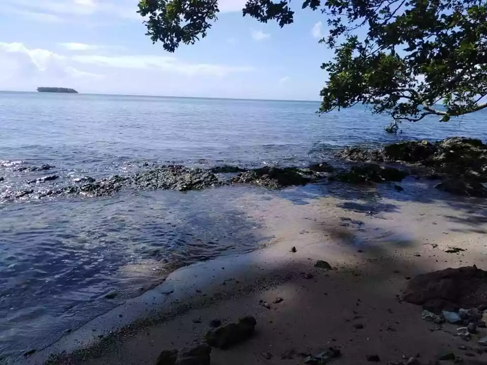 Beach Lot For Sale in Sta. Monica, Siargao Islands - photo 6