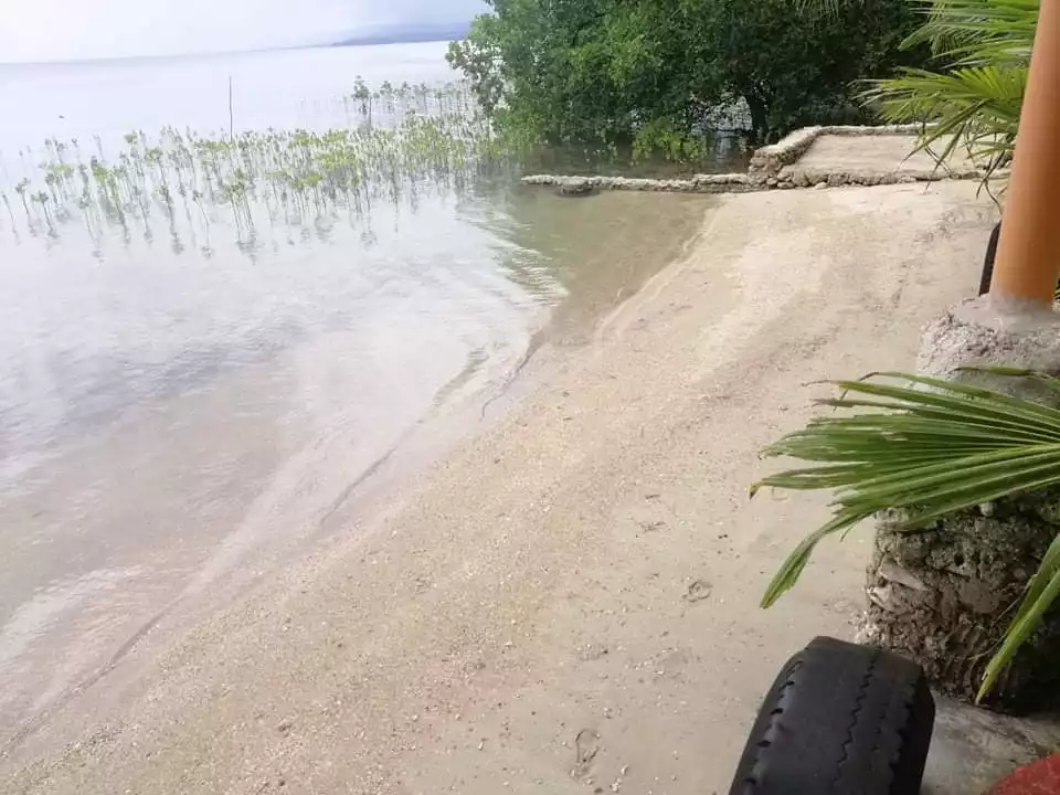 LOT FOR SALE IN ARGAO — Beach Lot in Cebu, Philippines — Photo 4
