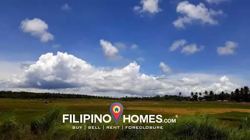 Agricultural Lot for Sale in Daraga, Albay — Agricultural Lot in Albay, Philippines — Photo 6