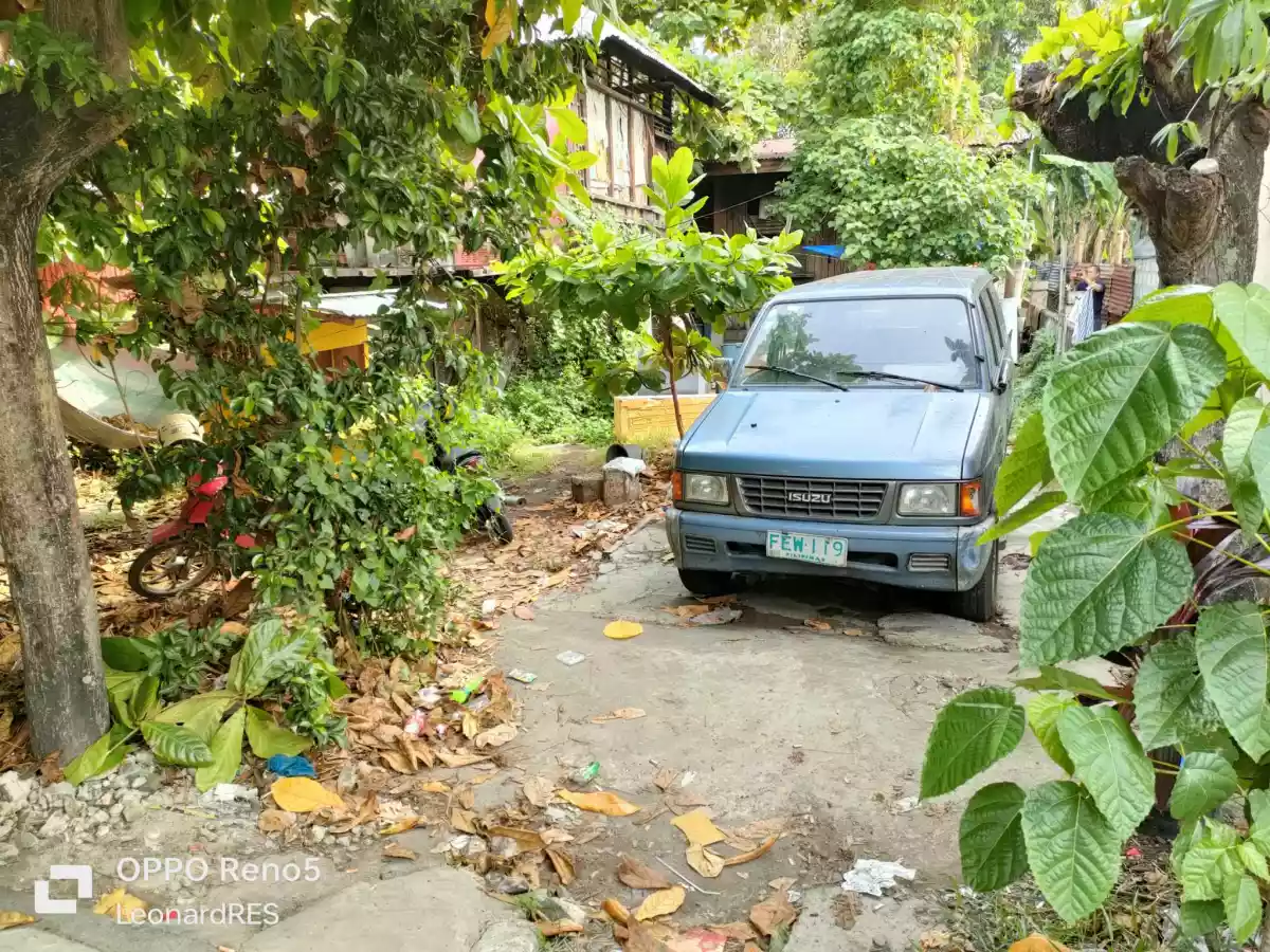 Commercial Property for Sale near downtown Dumaguete City — Commercial Lot in Dumaguete, Negros Oriental, Philippines — Photo 3