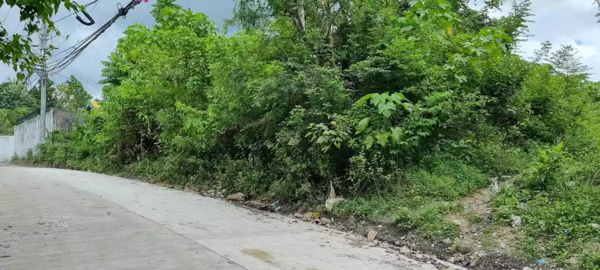 Lot for Sale in Banawa, Cebu City  - photo 3