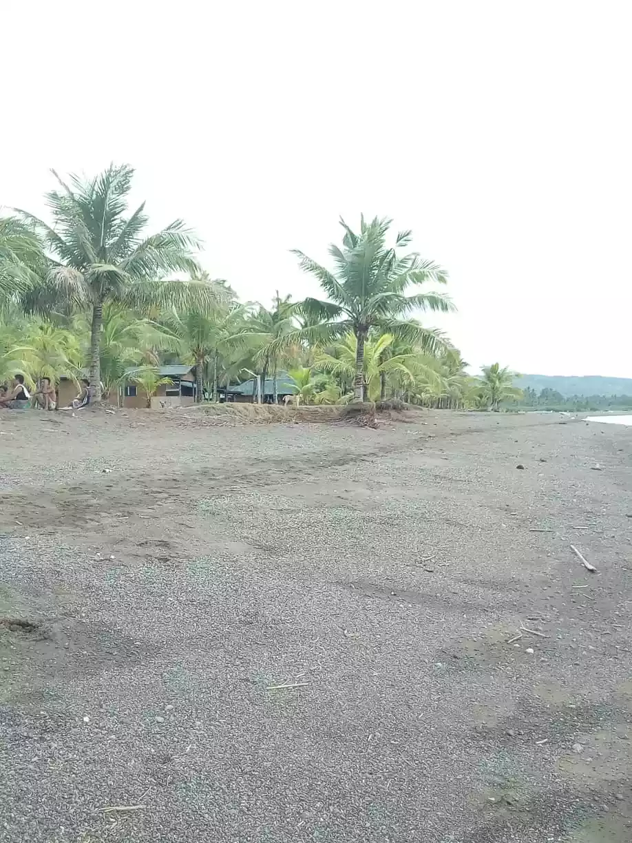 Beach lot  - photo 3
