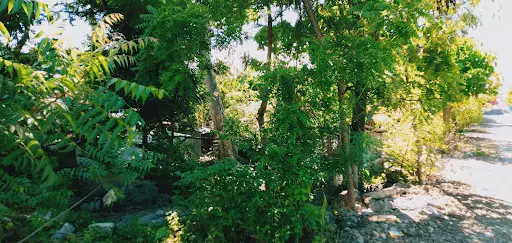 LOT FOR SALE ?? — Residential Lot in Lapu-Lapu City, Cebu, Philippines — Photo 5