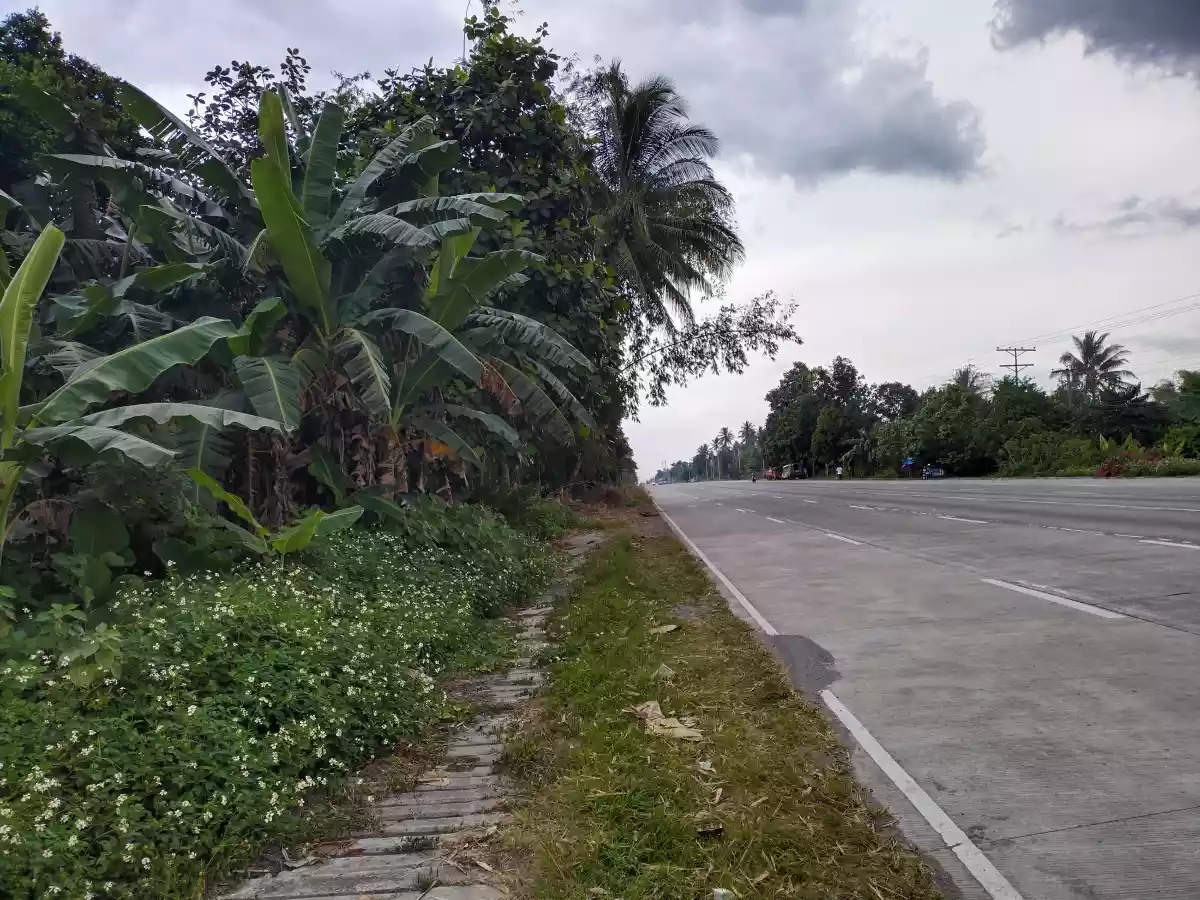 Along national highway — Commercial Lot in Polomolok, South Cotabato, Philippines — Photo 5