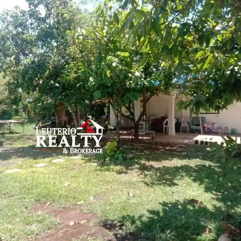 Farm Lot for Sale - photo 4