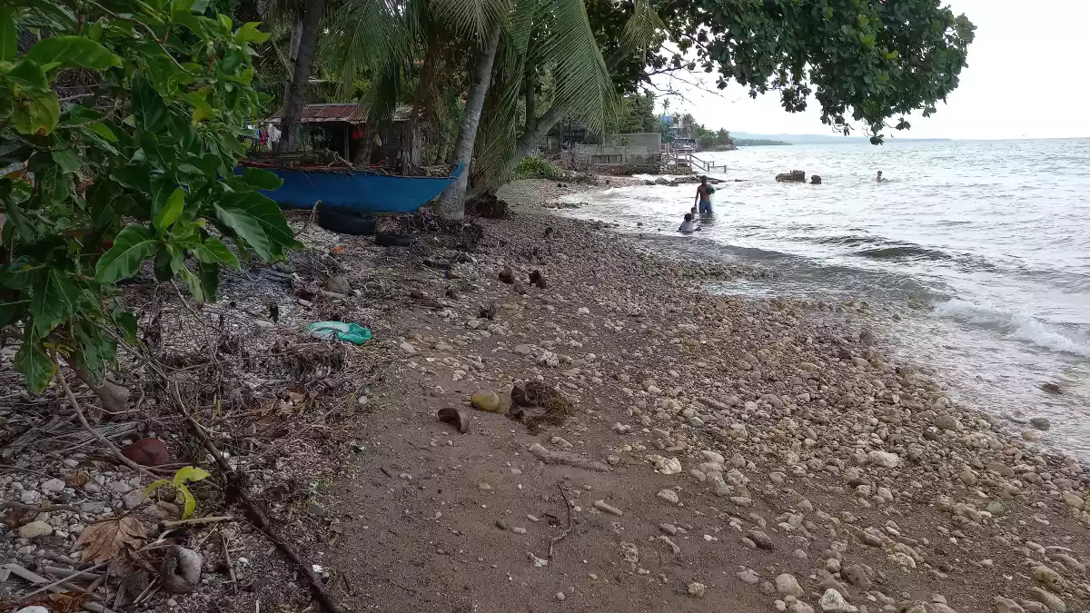 Tax dec — Beach Lot in Catmon, Cebu, Philippines — Photo 4