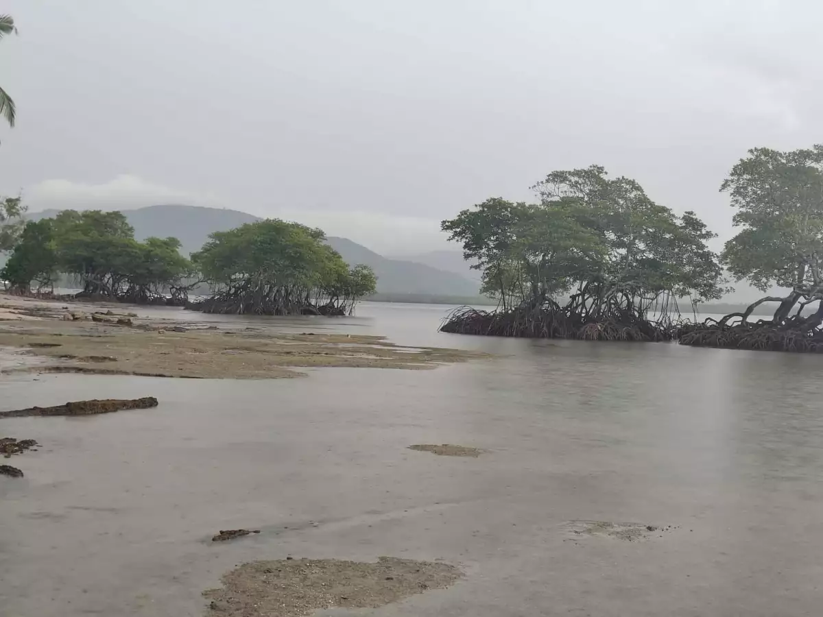 Open photo 12 of 15 — Beach Front Property for Sale (Sipalay)