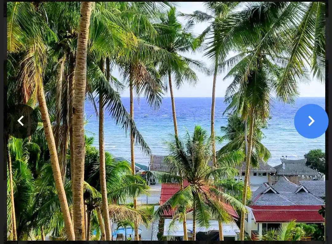 Lot Near The Beach in San Juan, Siquijor - photo 7