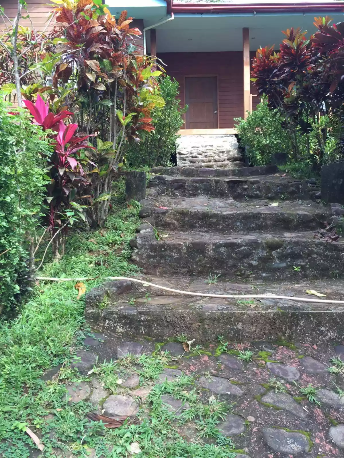 Fruit Farm with Vacation House in Camiguin — House and Lot in Camiguin, Philippines — Photo 3