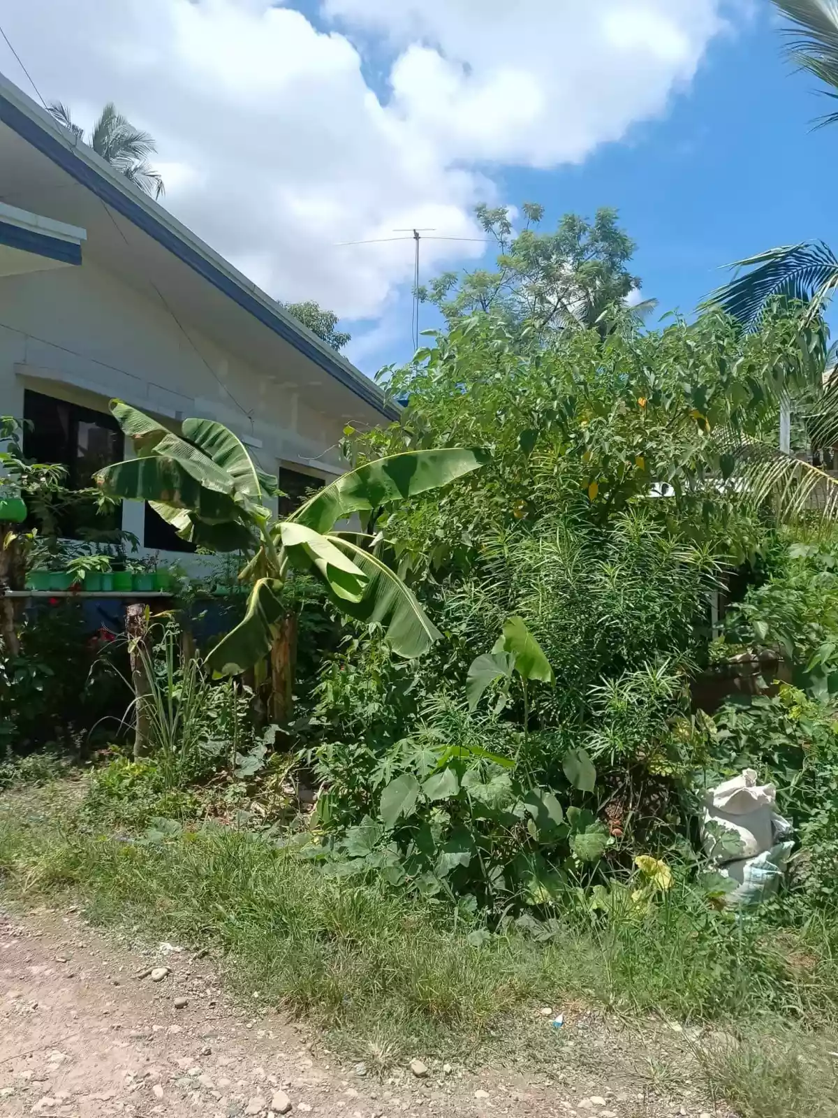 Residential lot in Linao, Talisay City — Residential Lot in Talisay, Cebu, Philippines — Photo 2