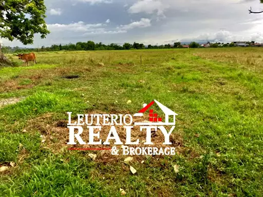 Agricultural /Farmlot — Agricultural Lot in Naga, Camarines Sur, Philippines — Photo 5