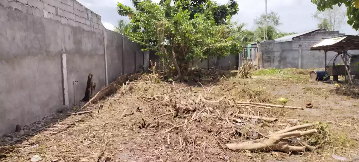 Near conel road — Residential Lot in Purok 17 Road, General Santos City, South Cotabato — Photo 7