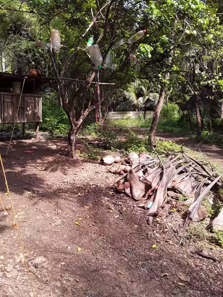 Residential Lot for Sale Compostela, Cebu - photo 5