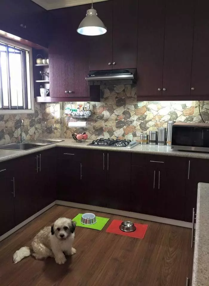 Single Detached Furnished House for sale in Talisay, Cebu — House and Lot in Maghaway Road, Talisay, Cebu — Photo 6