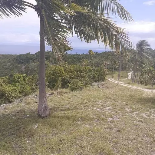 LOT for sale — Residential Lot in Boljoon, Cebu, Philippines — Photo 7