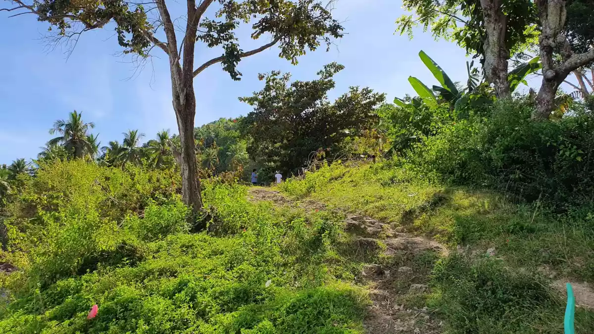 BEACH LOT — Beach Lot in Kaputian, Island Garden City of Samal, Davao del Norte — Photo 5