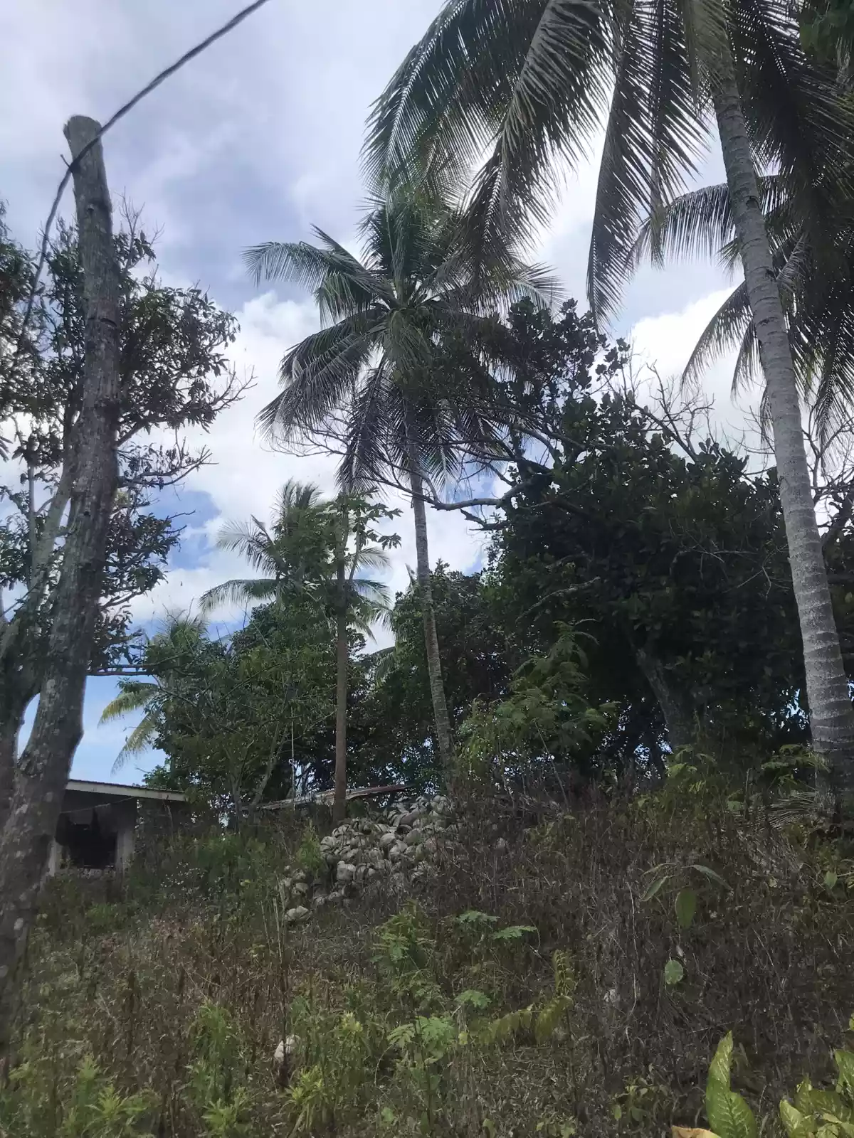 Malabog Davao City Agricultural Land — Agricultural Lot in Sitio Mangal-al, Calinan District, Davao City — Photo 3