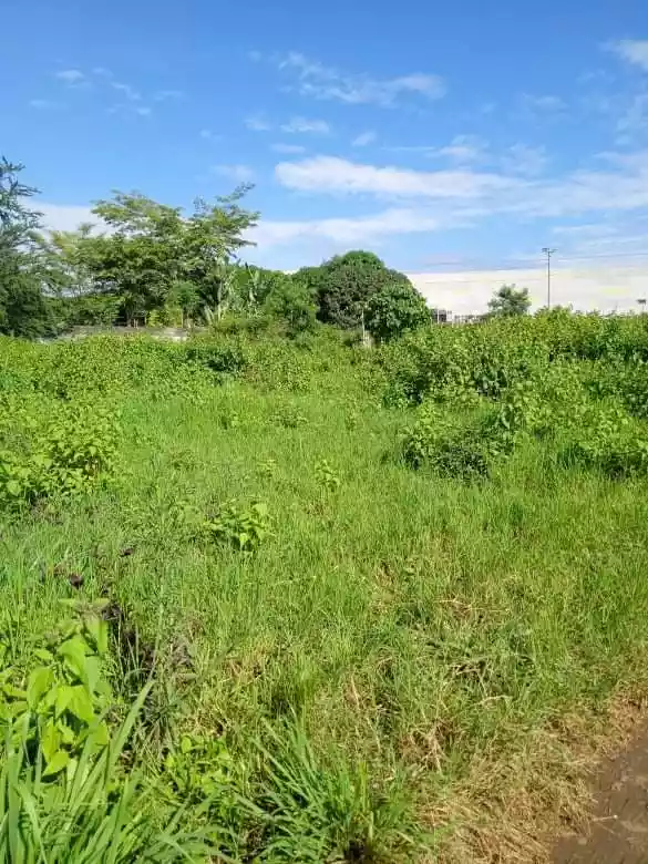 Residential Lot - photo 4