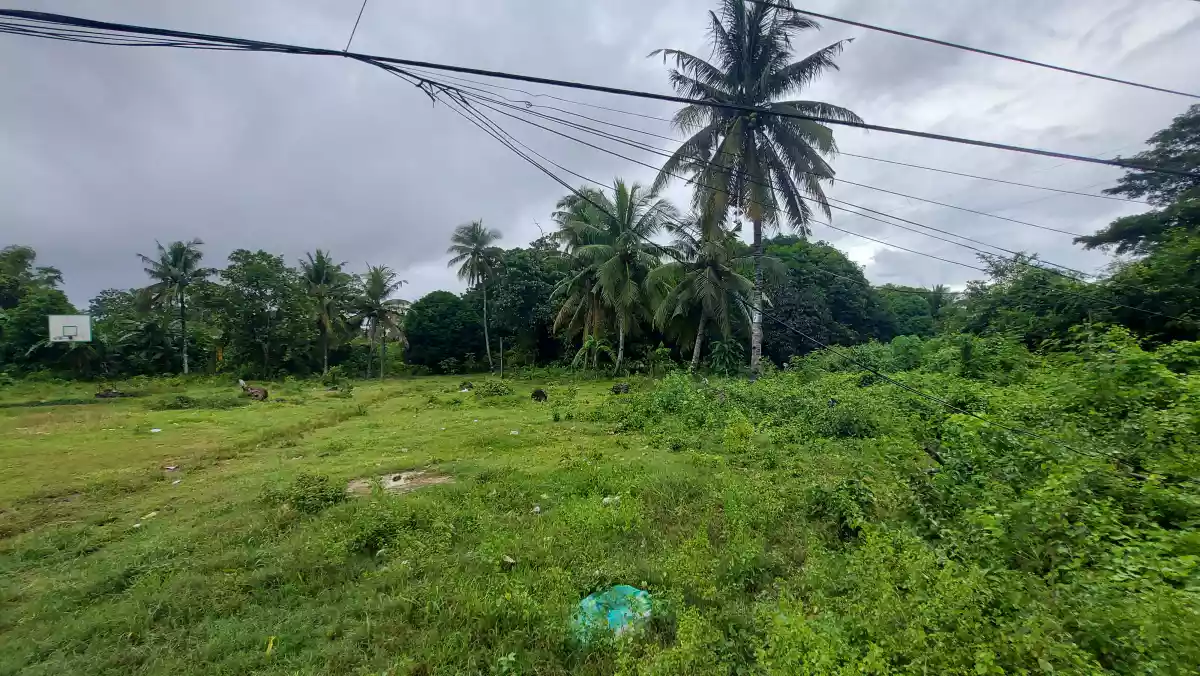 Commercial lot for sale  - photo 5