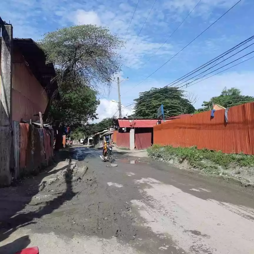 Mandaue Lot For sale - photo 2