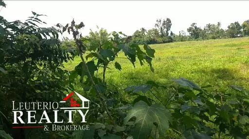 Open photo 29 of 41 — Rush Sale !! Agricultural lot property with lot area of 41,050 sqm, along national road, good for investment.