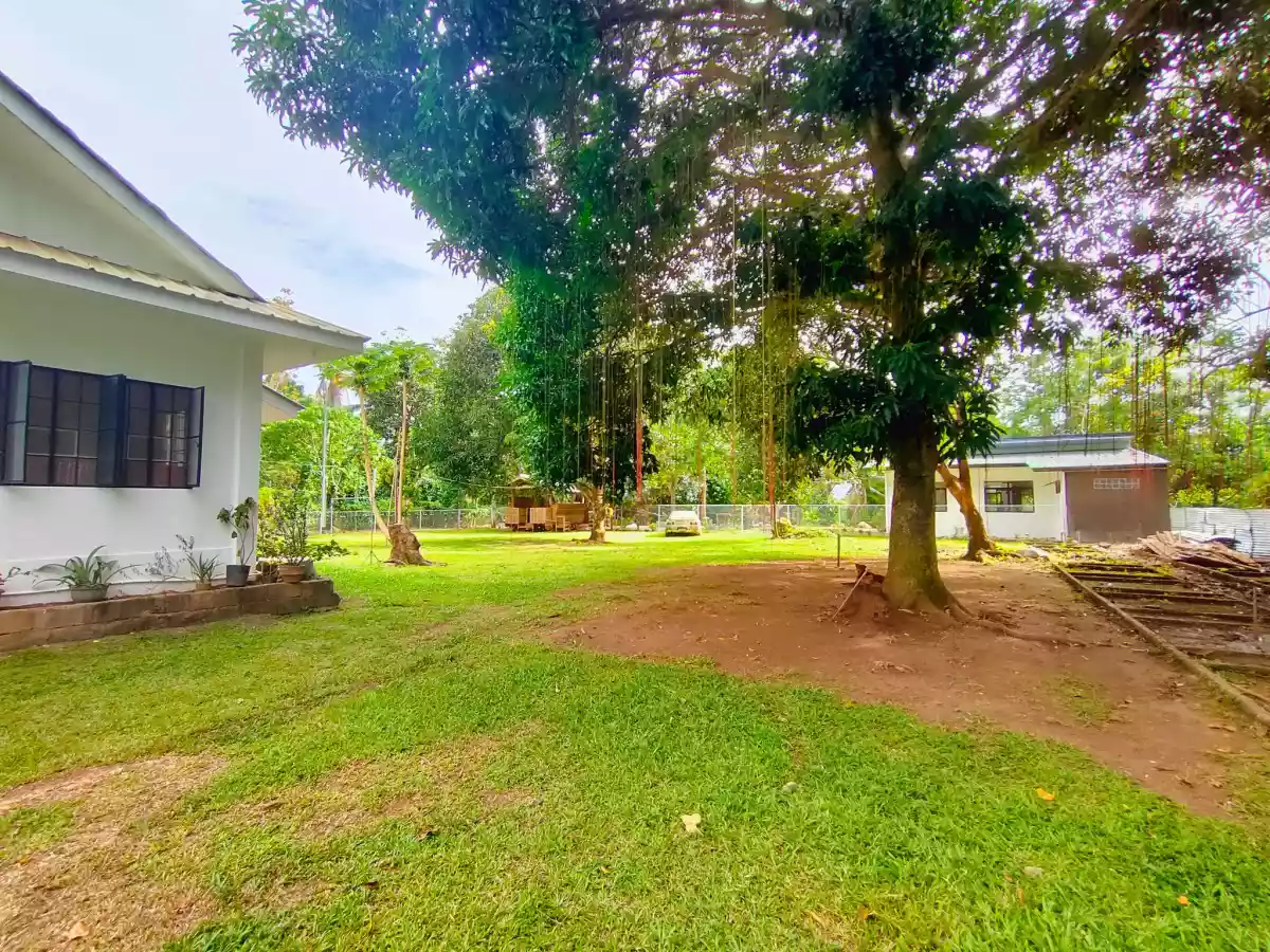 1,545 sqm Mini Farm Lot — House and Lot in Talomo, Davao City, Davao del Sur — Photo 5