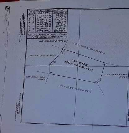2 hectares agricultural lot for sale - photo 4