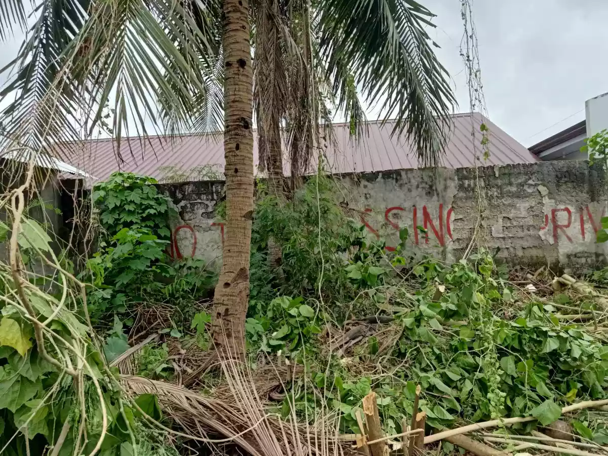Open photo 11 of 17 — LOT FOR SALE