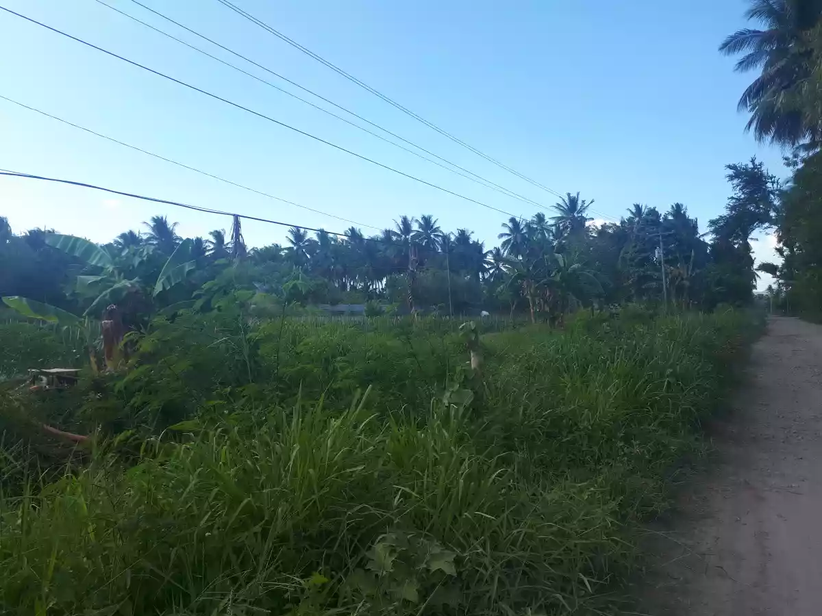 Residential Commercial Lot — Commercial Lot in South Cotabato, Philippines — Photo 4