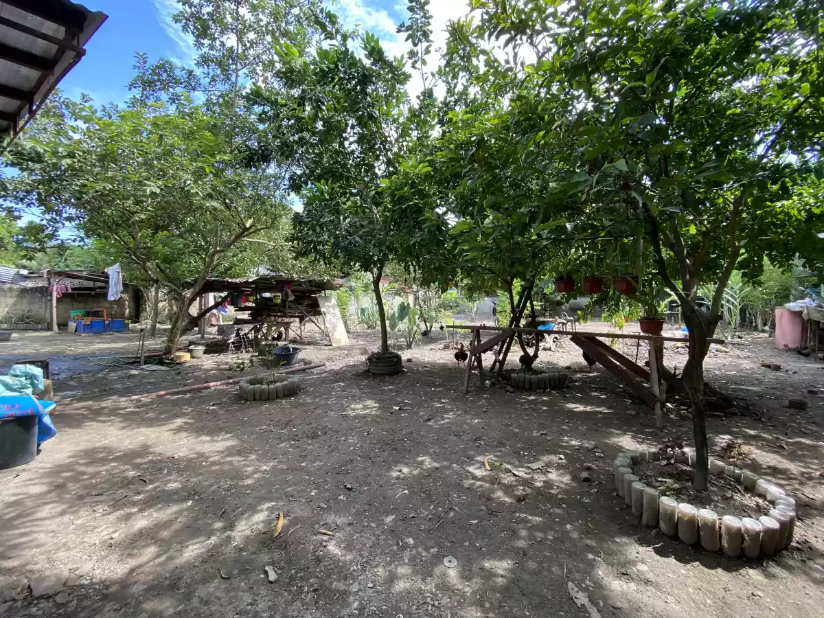 Lot For Sale Minglanilla Cebu