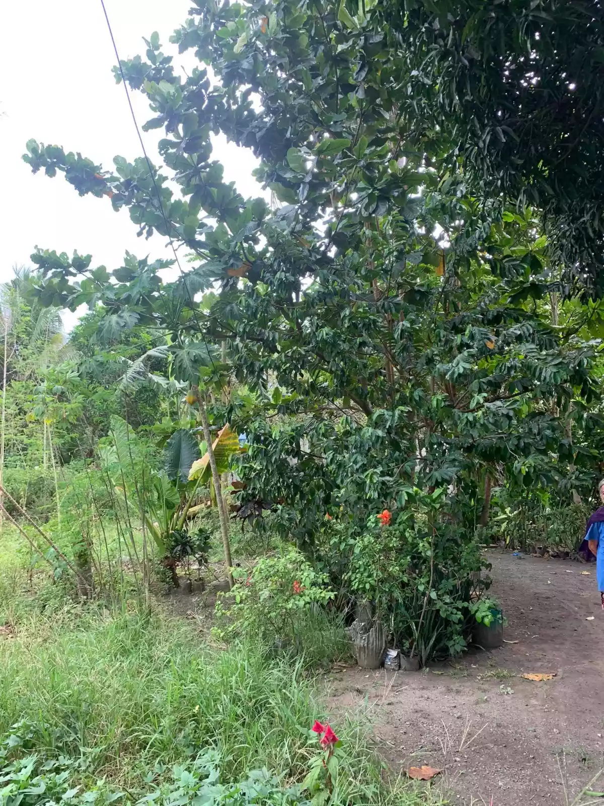 300 SQ.M RESIDENTIAL LOT — Residential Lot in Alabel, Sarangani, Philippines — Photo 5