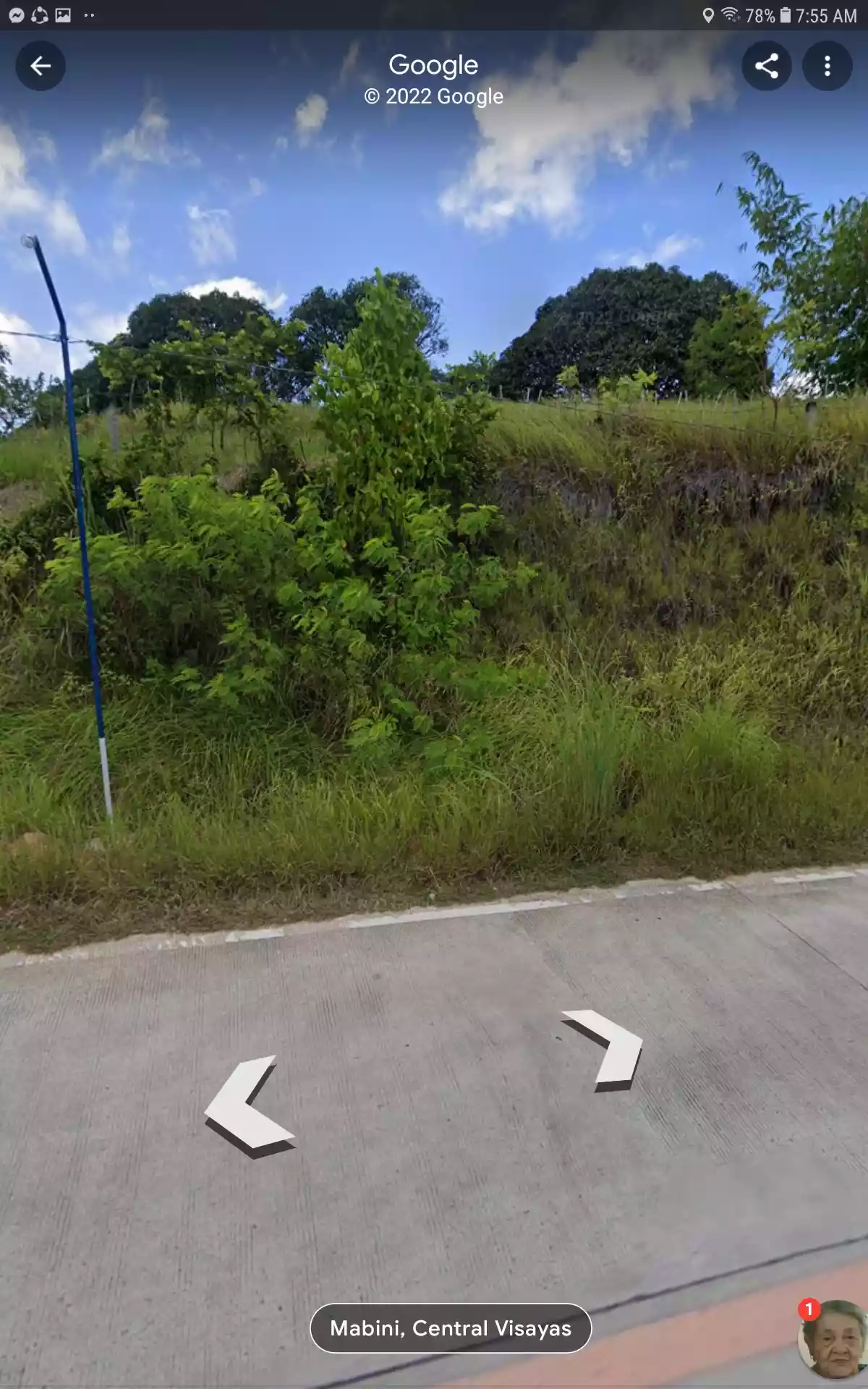Farm lot for sale