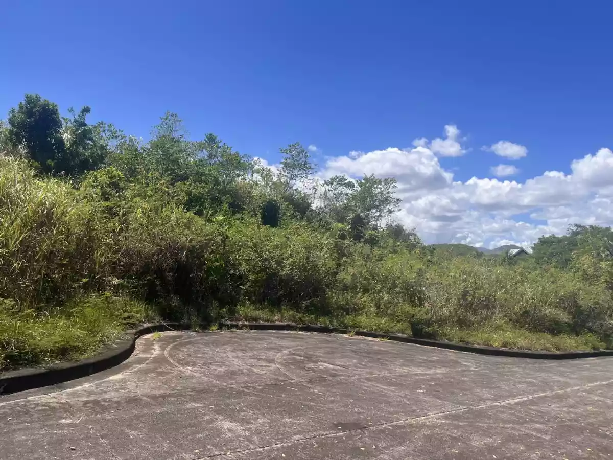 Lot for Sale in El Monteverde, Lamac, Consolacion Cebu — Residential Lot in New Orleans Street, Lamac, Consolacion — Photo 5