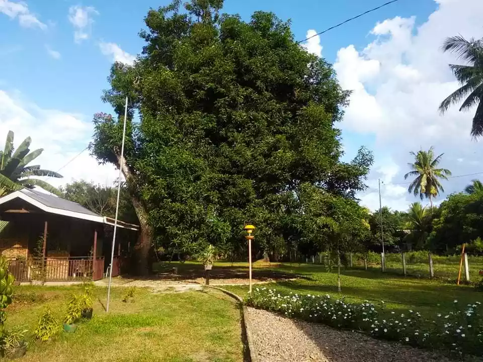 Dumaguete Farm Land for Sale — Residential Lot in Negros Oriental, Philippines — Photo 4