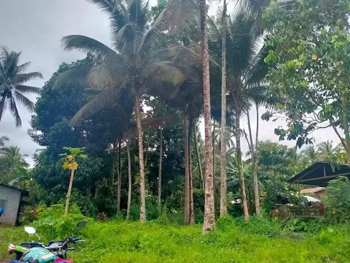 Residential lot for sale