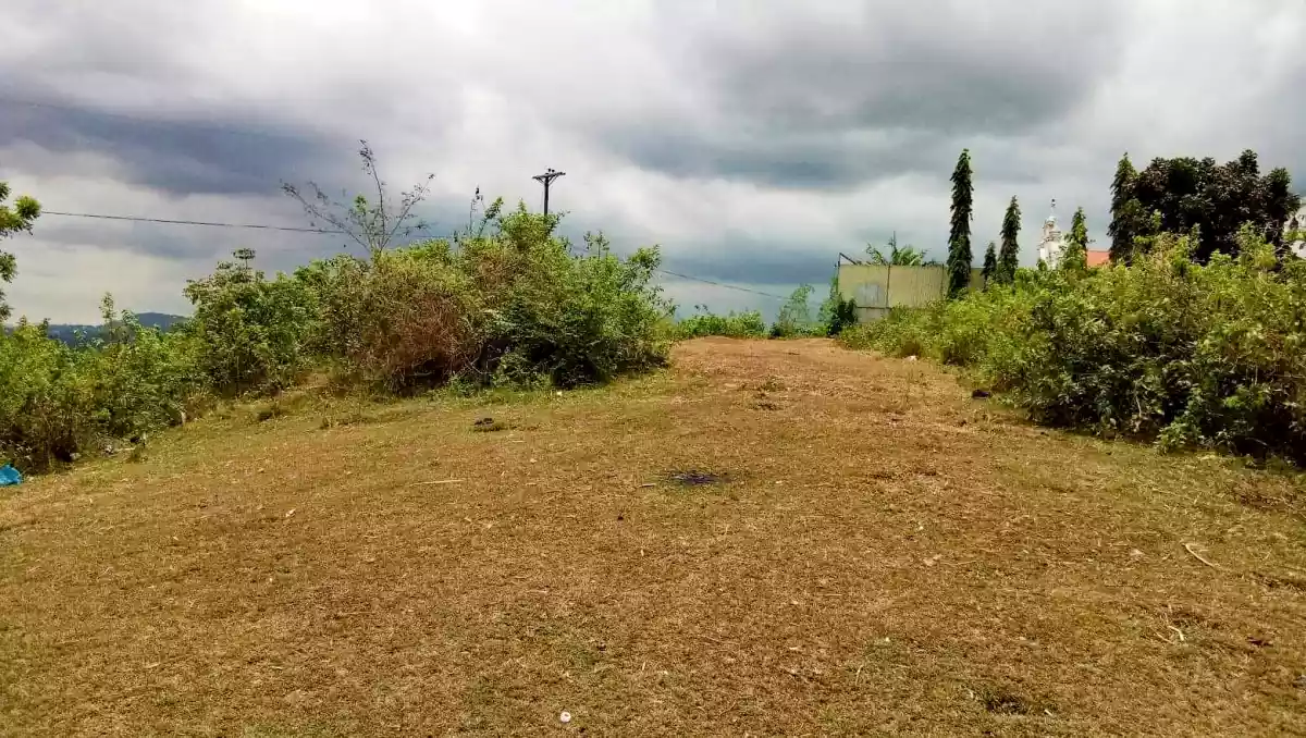 Lot for sale - photo 6