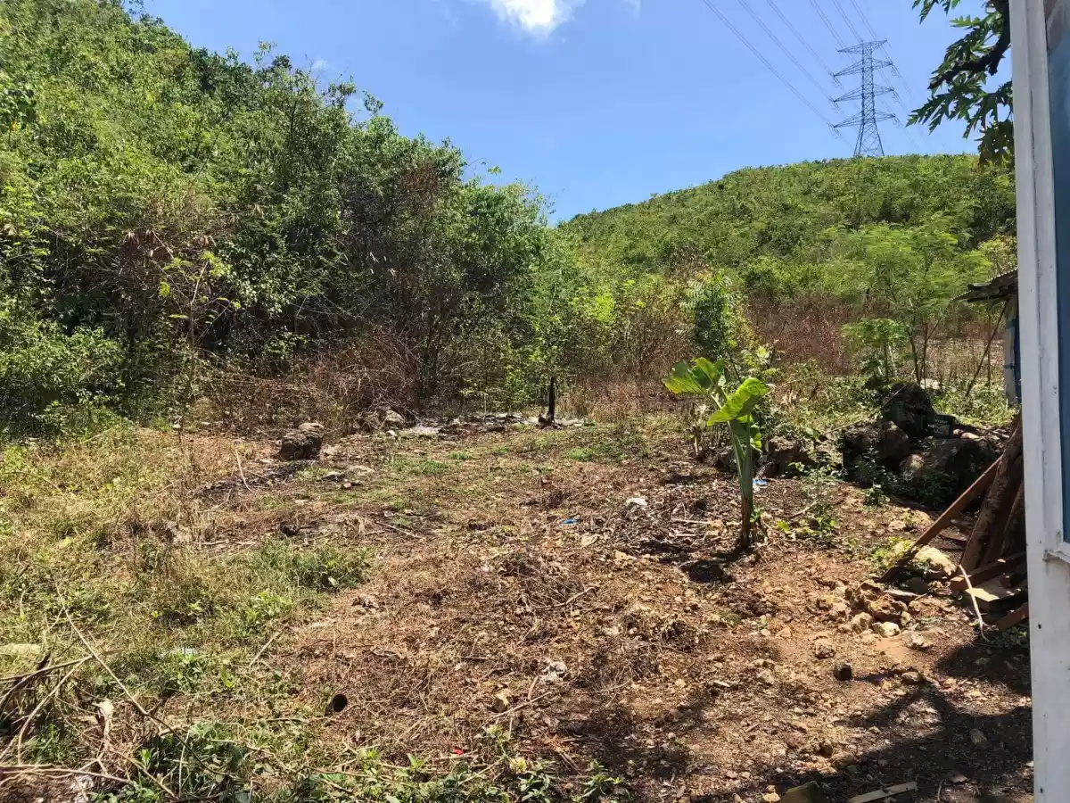 Lot for Sale - Ideal for Subdivision - photo 3