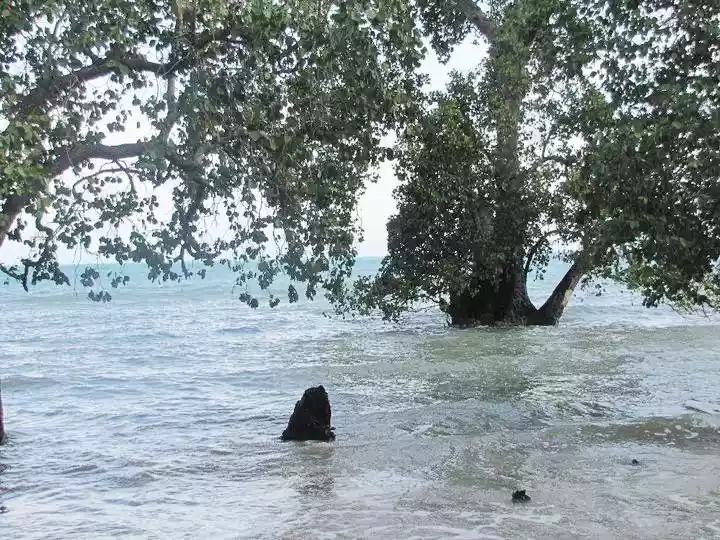 1 Hectare Beachfront Property for sale in San Rafael, Puerto Princesa City, Palawan — Beach Lot in Barangay San Miguel, Puerto Princesa, Palawan — Photo 4