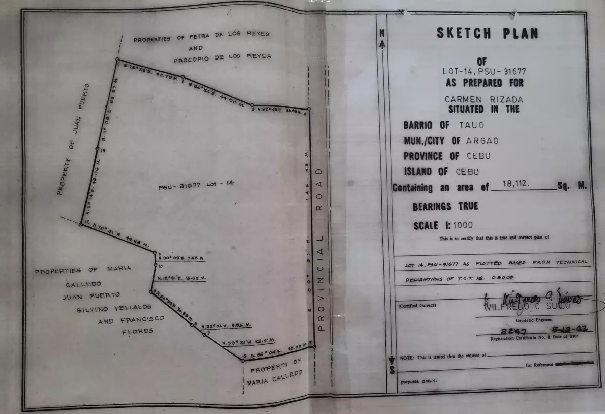 LOT FOR SALE IN ARGAO — Commercial Lot in Cebu, Philippines — Photo 2