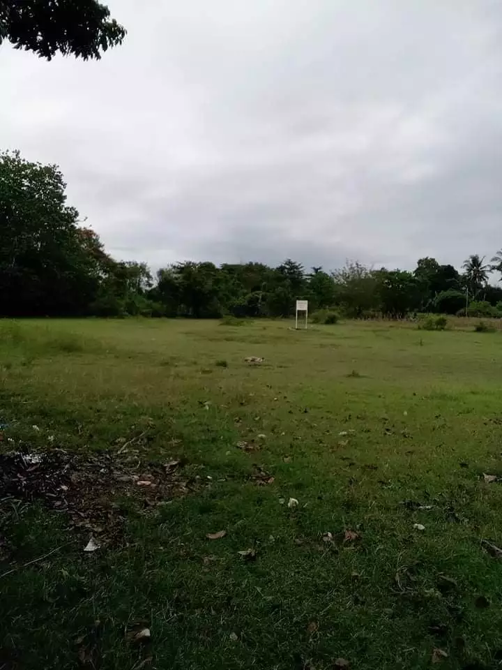 Commercial lot - photo 2